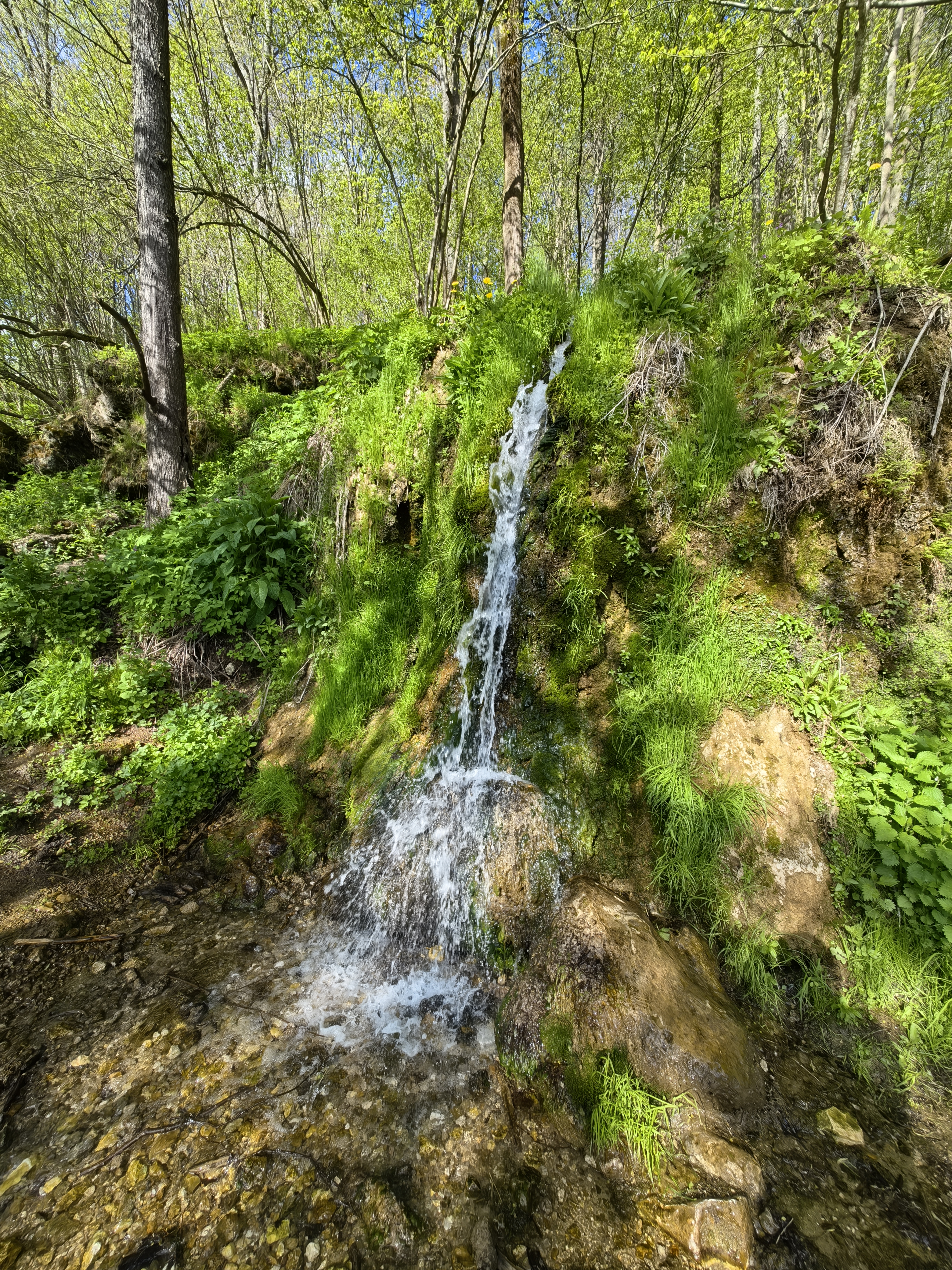 IMG 20240504 164141