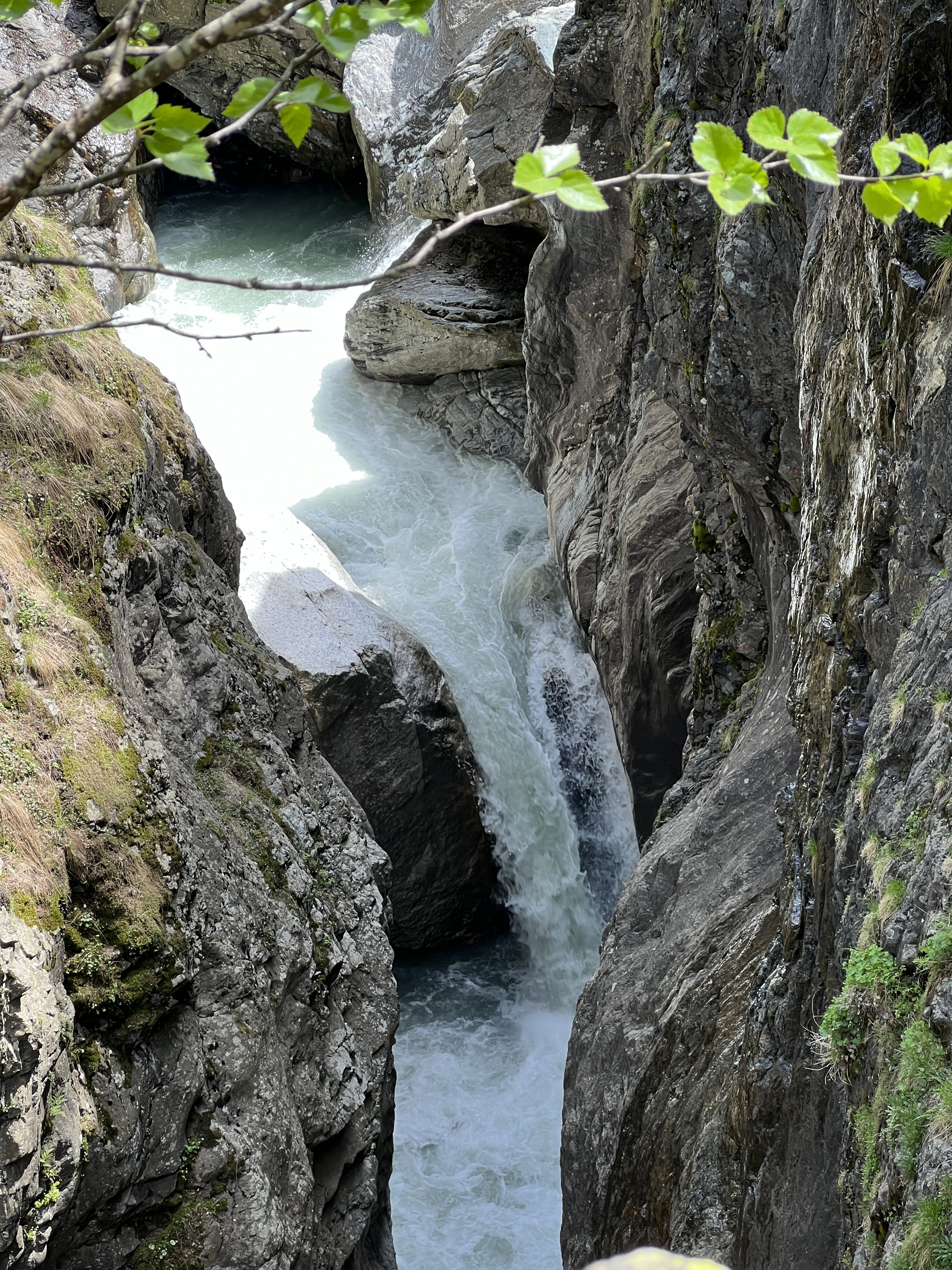 IMG 7059