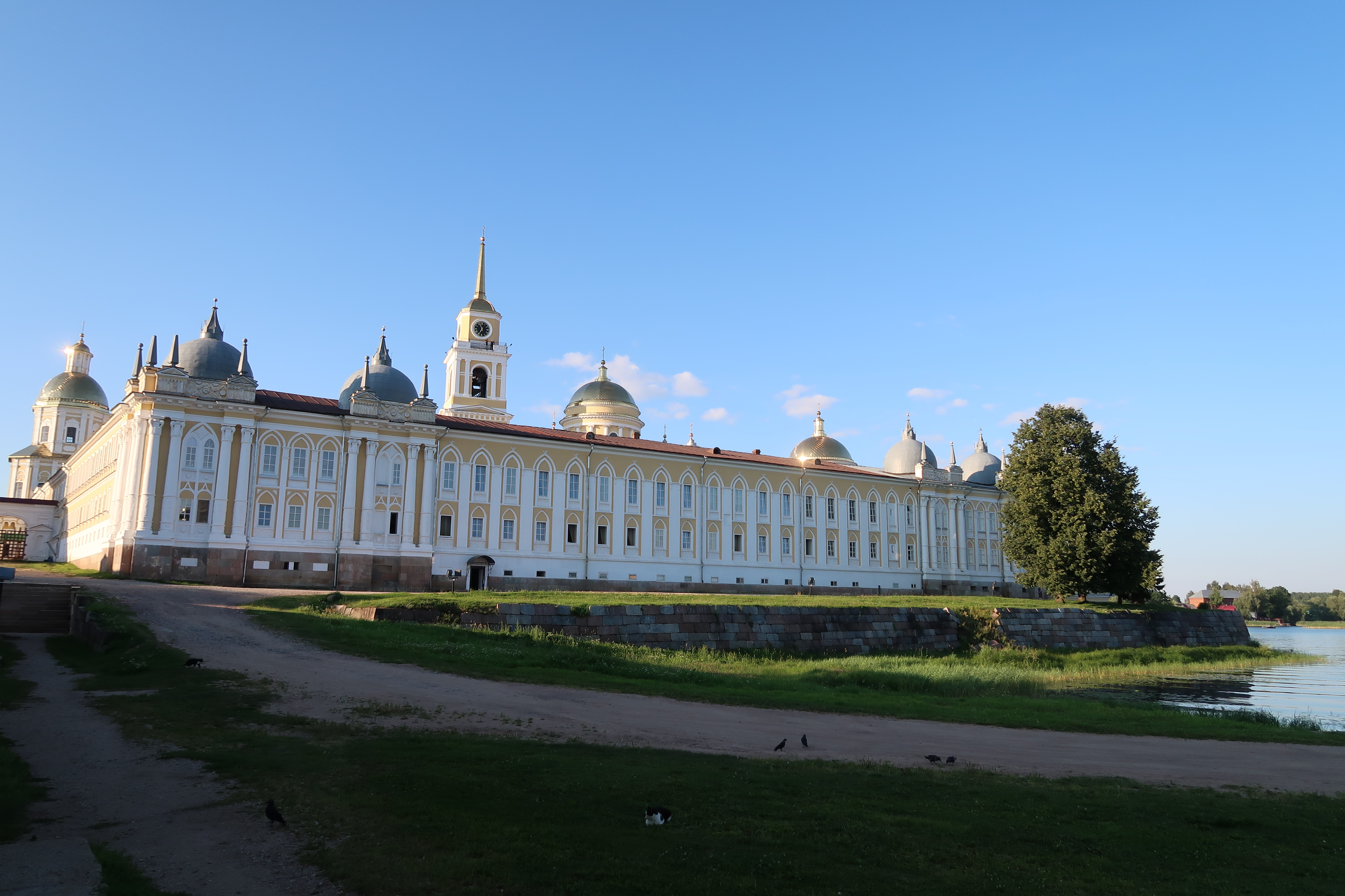 IMG 0800