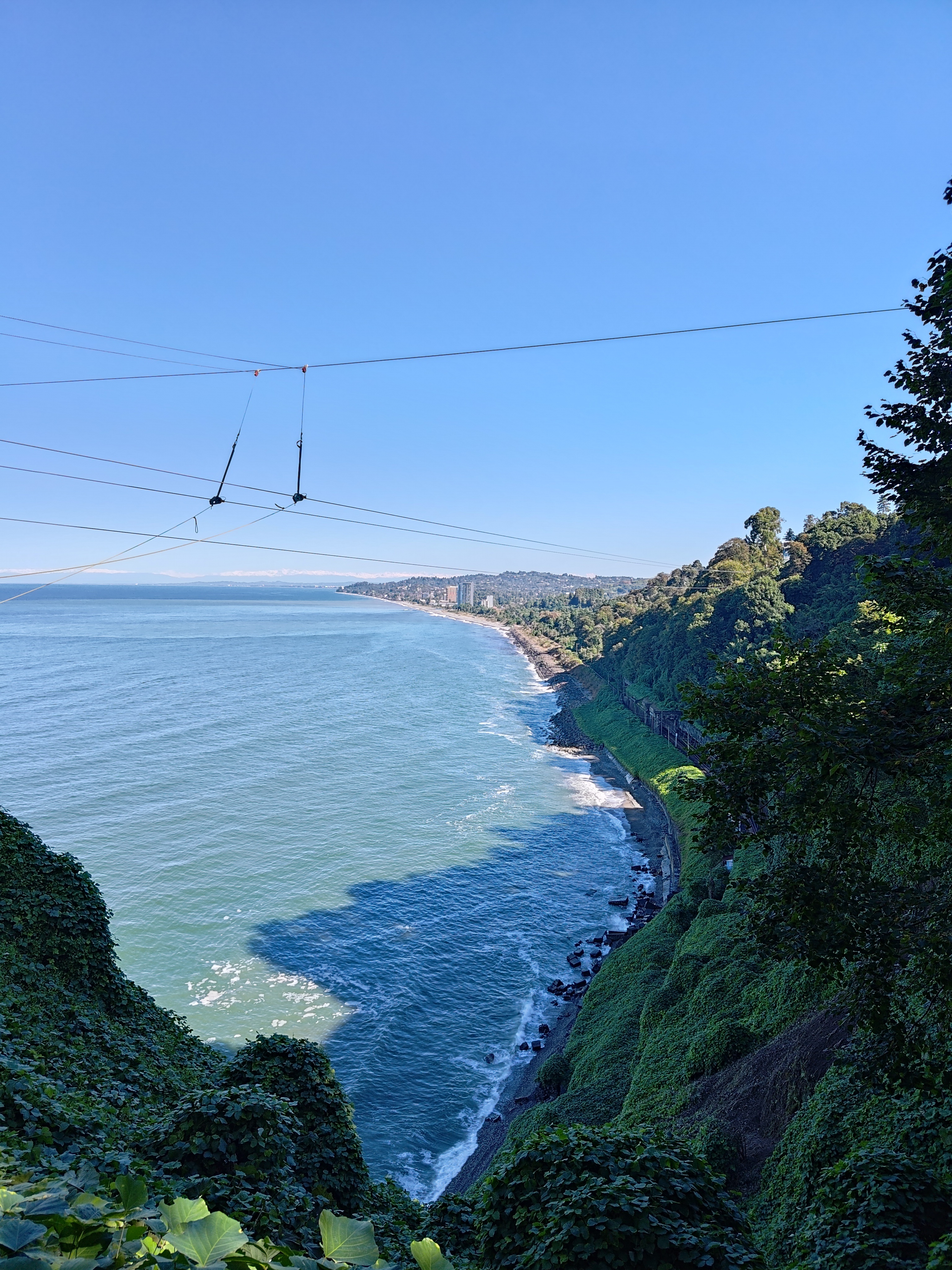 P 20231012 113250