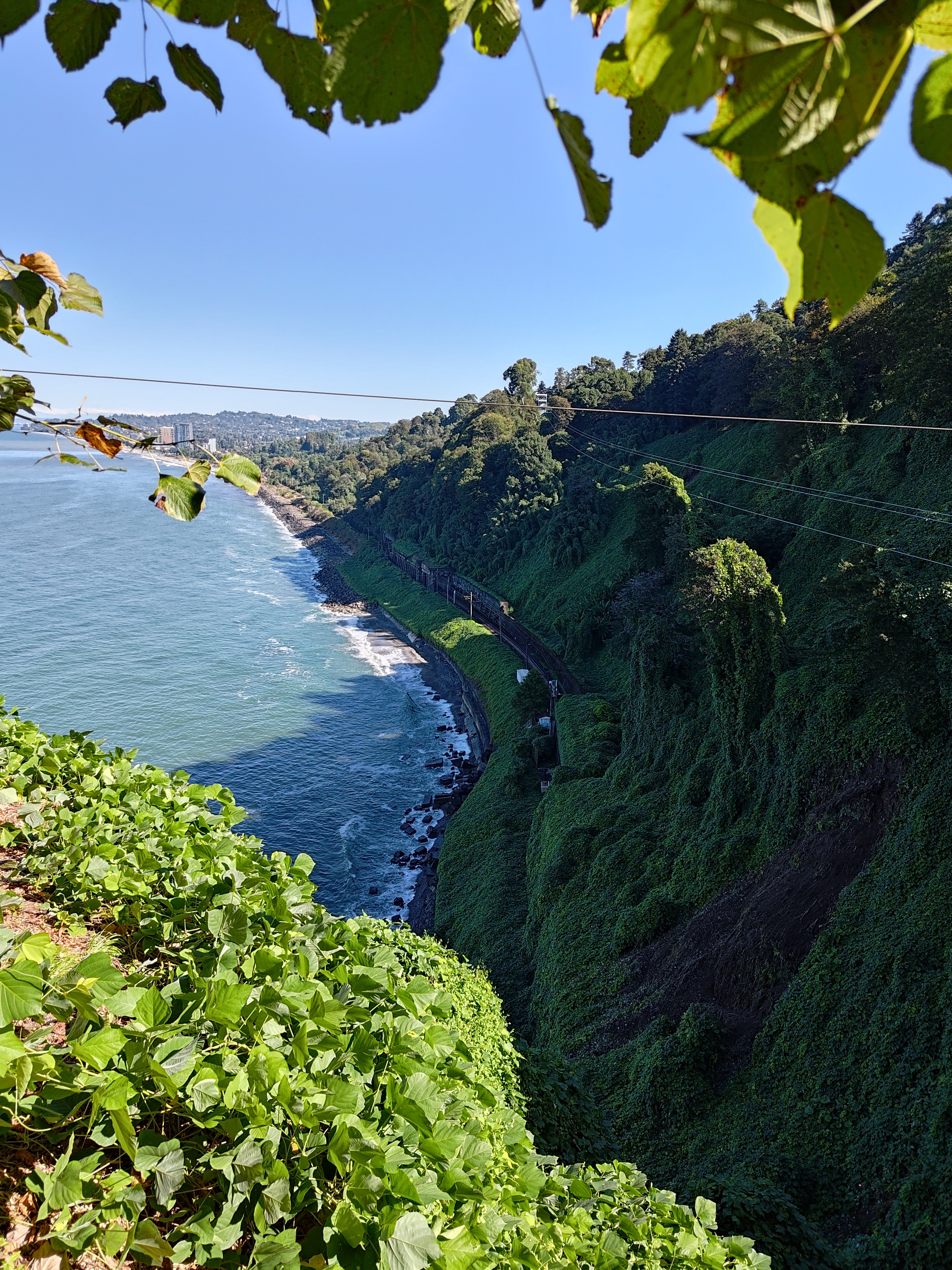 P 20231012 113942