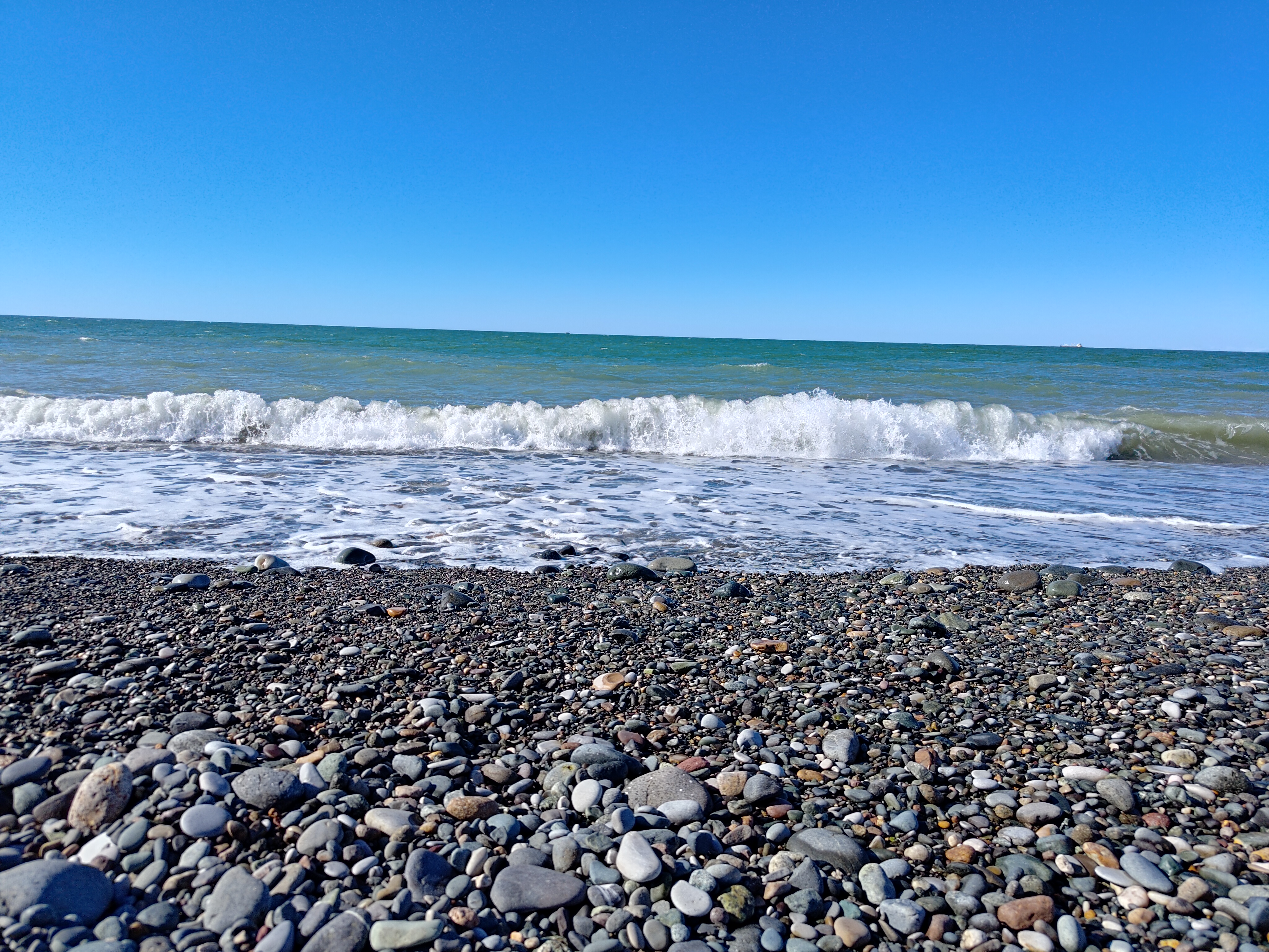 P 20231012 151654