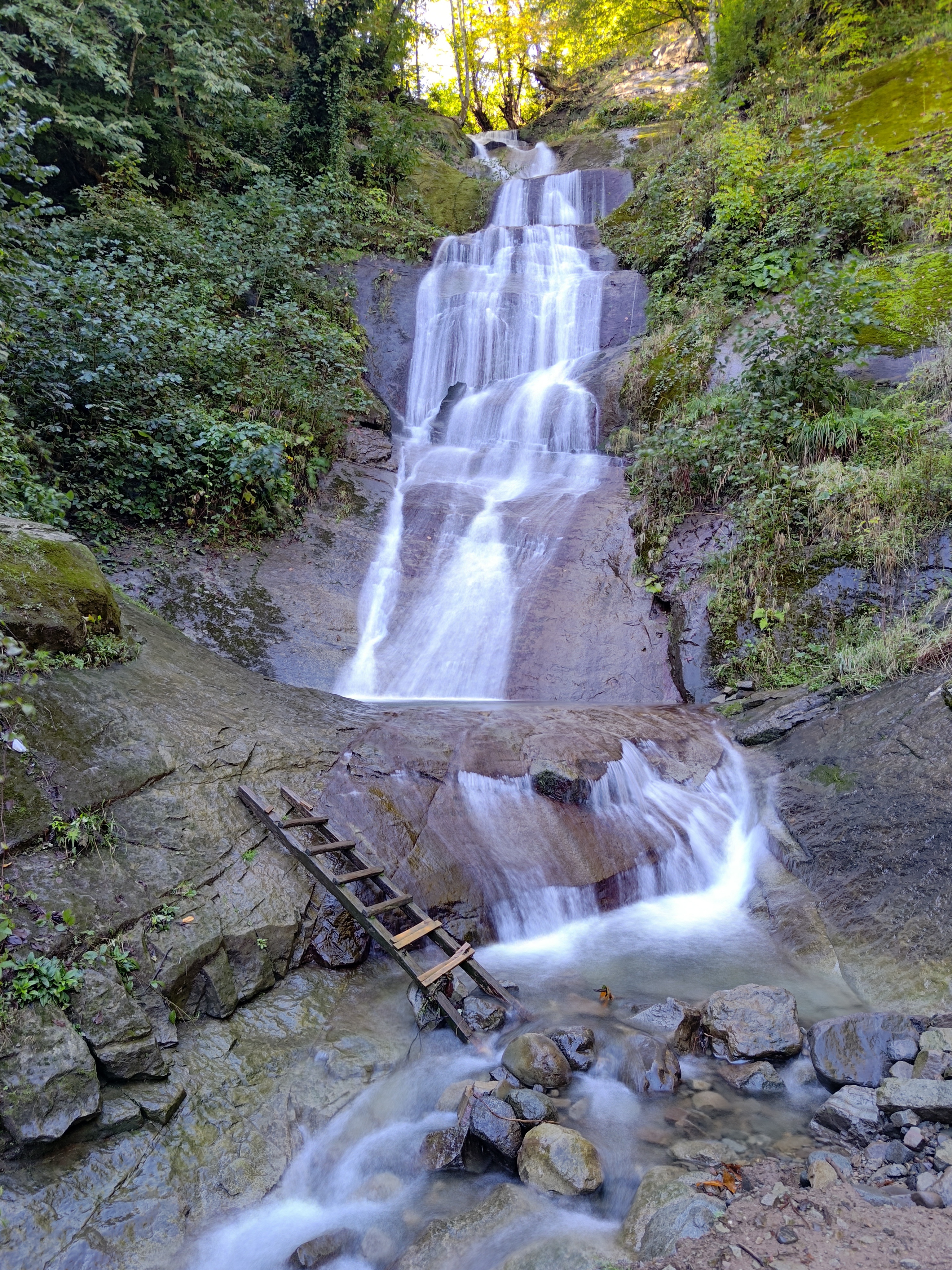 P 20231014 110031