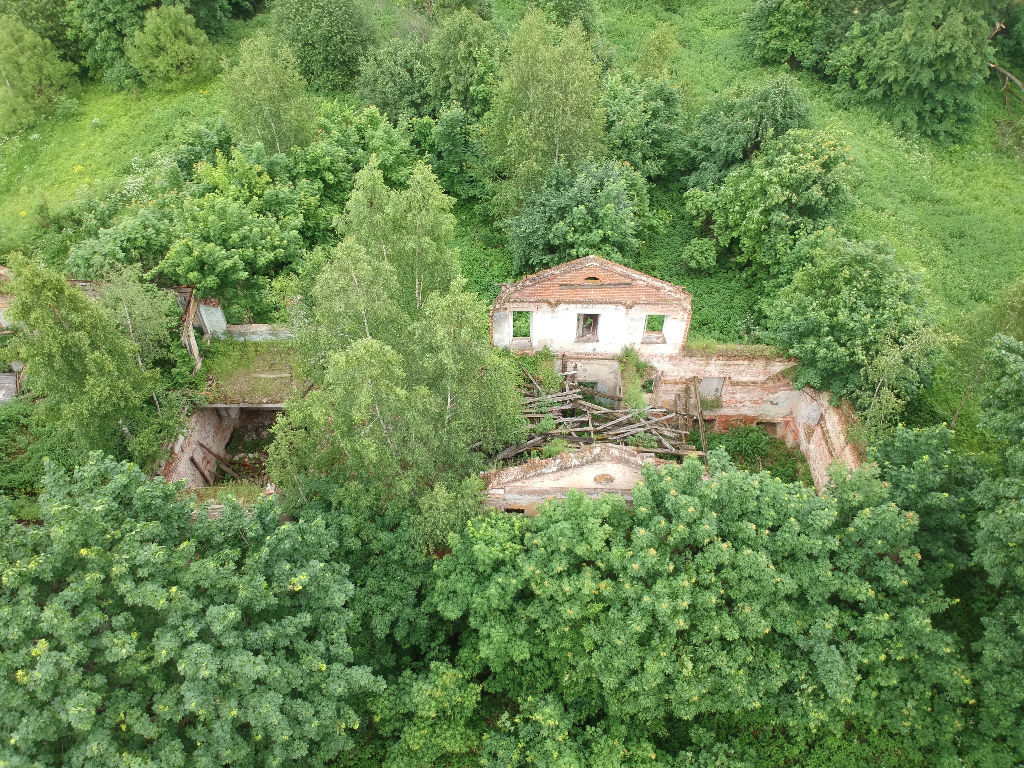 DJI 0163